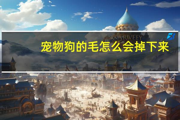 宠物狗的毛怎么会掉下来