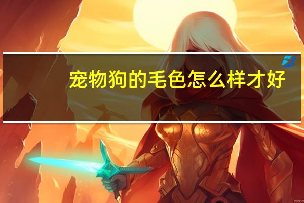 宠物狗的毛色怎么样才好