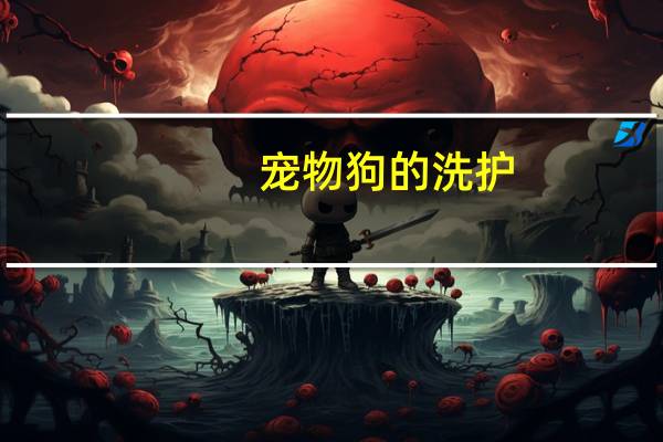 宠物狗的洗护
