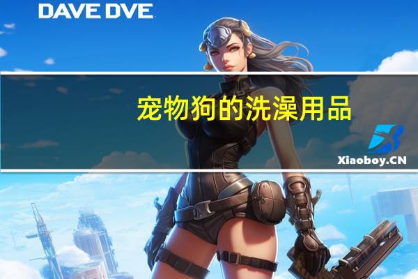 宠物狗的洗澡用品