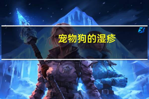 宠物狗的湿疹