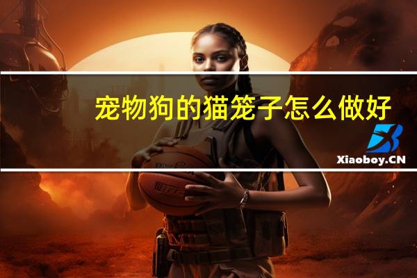 宠物狗的猫笼子怎么做好
