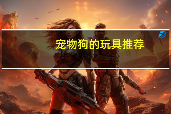 宠物狗的玩具推荐