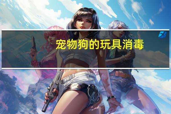 宠物狗的玩具消毒