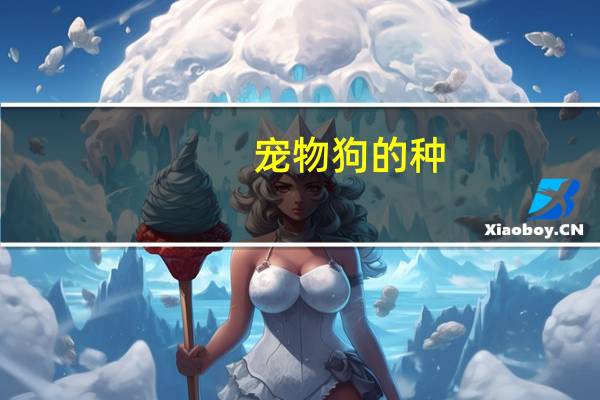 宠物狗的种
