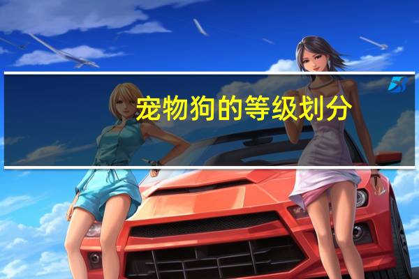 宠物狗的等级划分