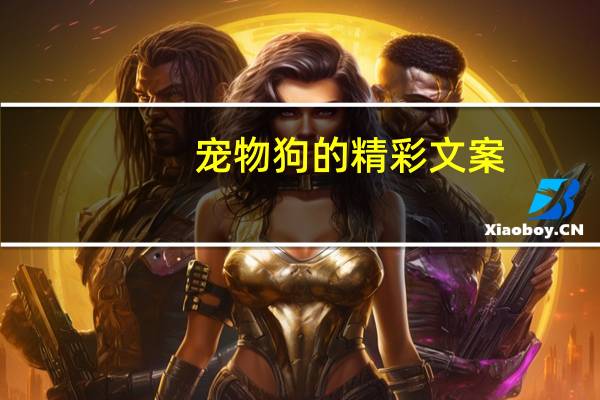宠物狗的精彩文案