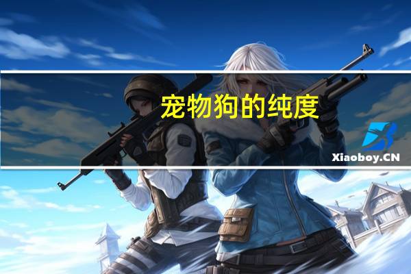 宠物狗的纯度