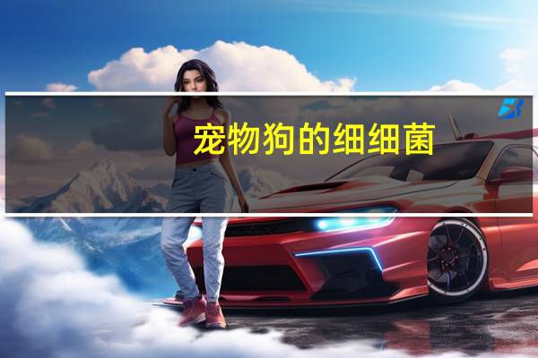 宠物狗的细细菌