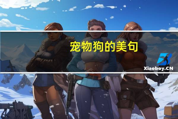宠物狗的美句