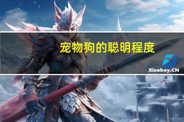 宠物狗的聪明程度