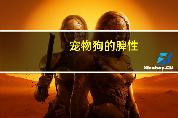 宠物狗的脾性