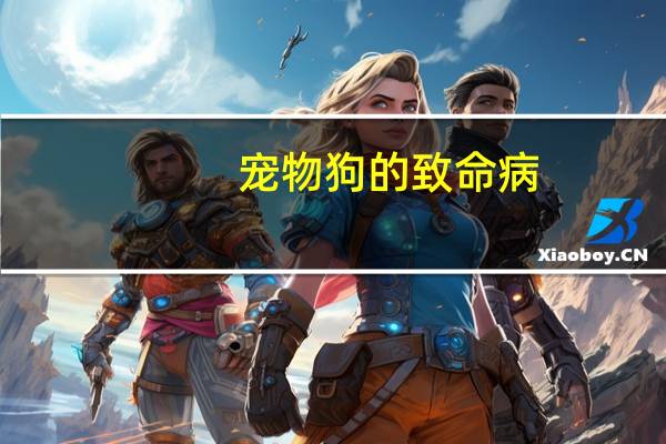宠物狗的致命病