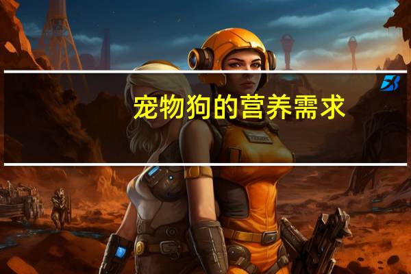宠物狗的营养需求