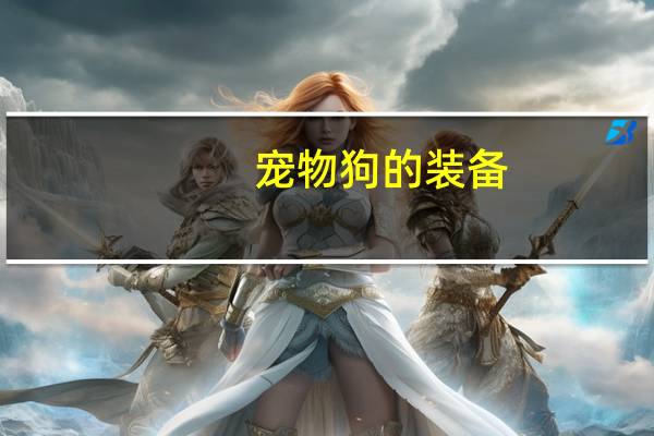 宠物狗的装备