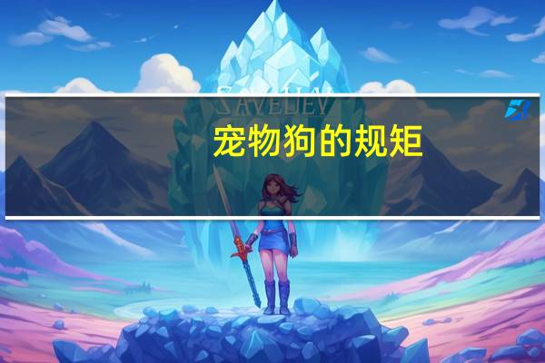 宠物狗的规矩