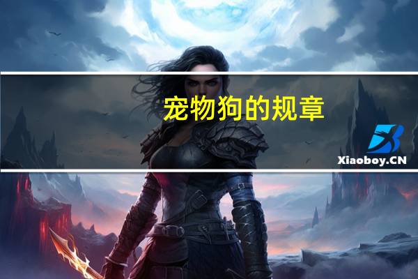 宠物狗的规章