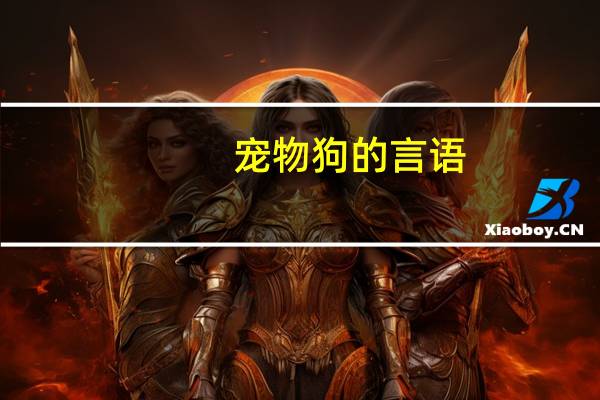 宠物狗的言语