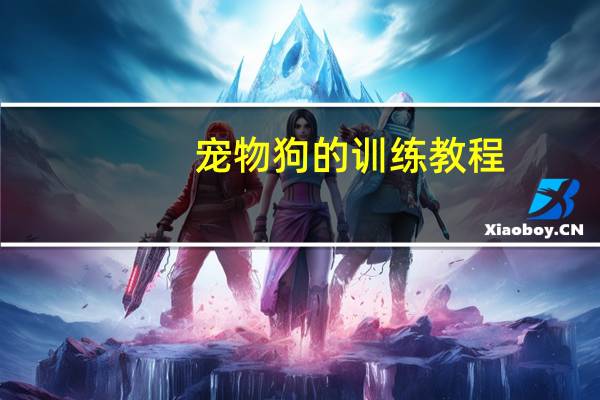 宠物狗的训练教程
