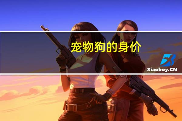 宠物狗的身价