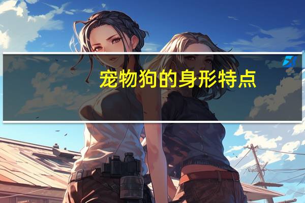 宠物狗的身形特点