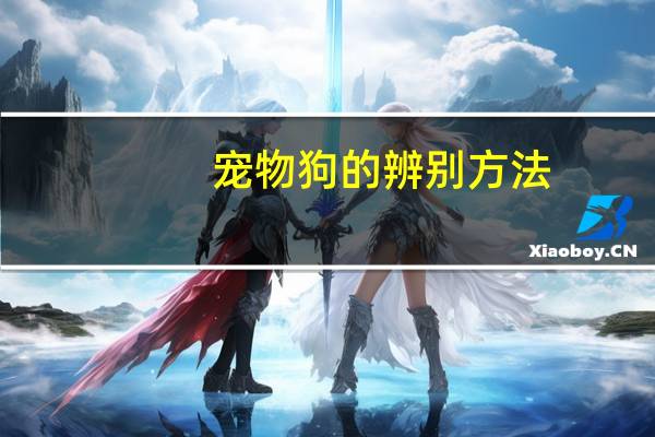 宠物狗的辨别方法