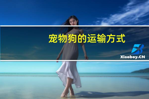 宠物狗的运输方式