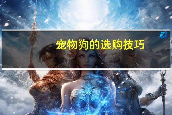 宠物狗的选购技巧