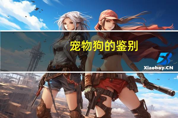 宠物狗的鉴别