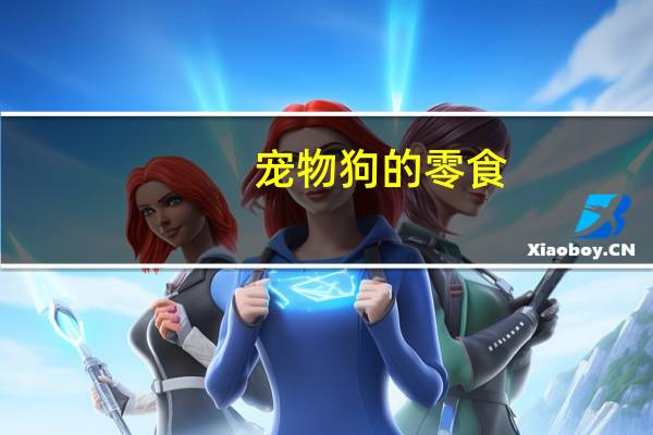 宠物狗的零食
