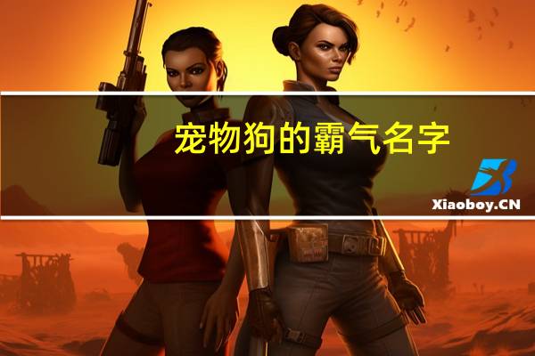 宠物狗的霸气名字