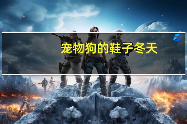 宠物狗的鞋子冬天