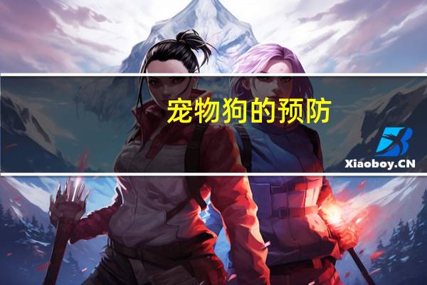 宠物狗的预防