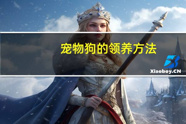 宠物狗的领养方法