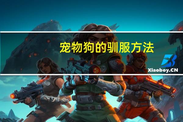 宠物狗的驯服方法