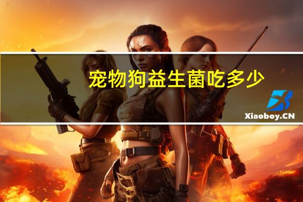 宠物狗益生菌吃多少