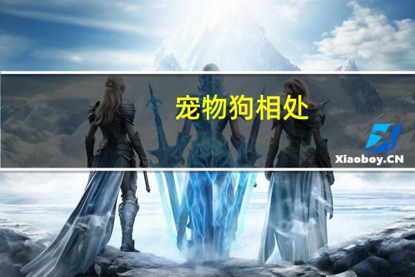 宠物狗相处