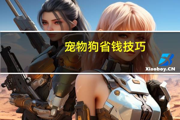 宠物狗省钱技巧