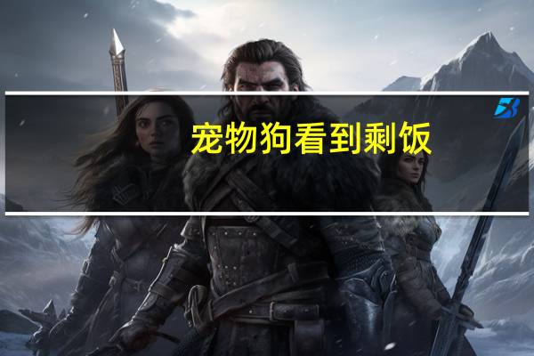 宠物狗看到剩饭