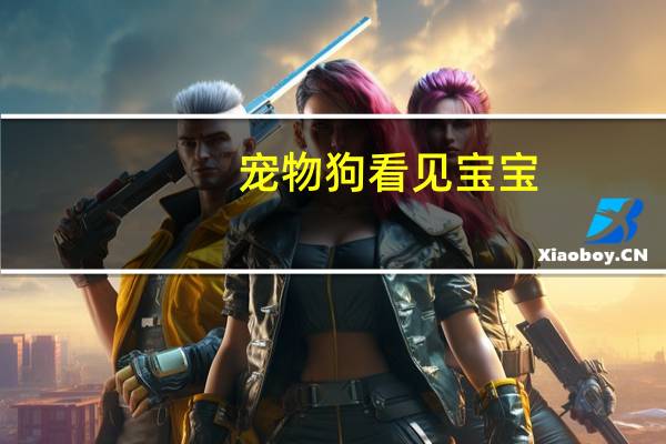 宠物狗看见宝宝