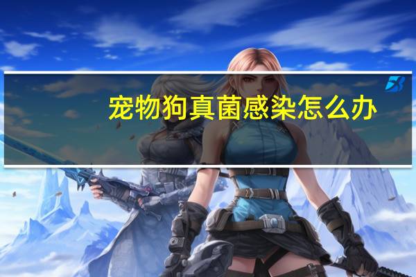 宠物狗真菌感染怎么办
