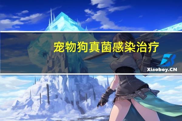 宠物狗真菌感染治疗
