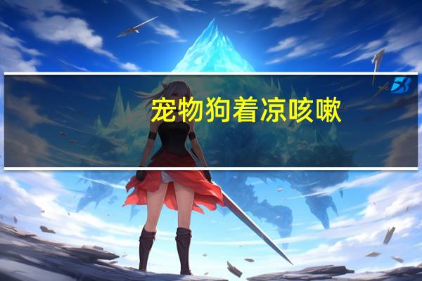 宠物狗着凉咳嗽