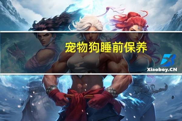 宠物狗睡前保养