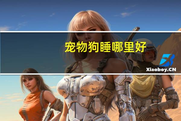 宠物狗睡哪里好