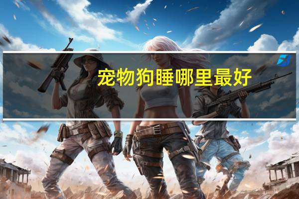 宠物狗睡哪里最好