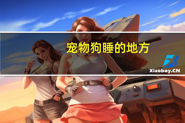 宠物狗睡的地方