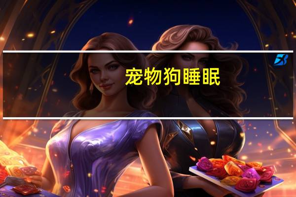 宠物狗睡眠