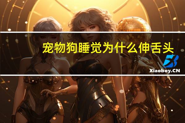 宠物狗睡觉为什么伸舌头