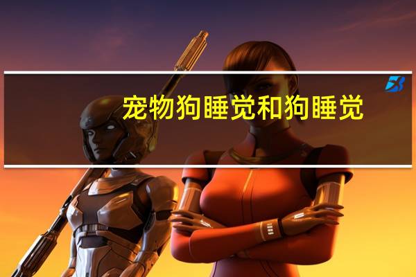宠物狗睡觉和狗睡觉
